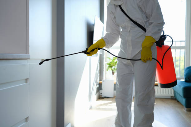 Best Emergency Mold Removal  in Somerdale, NJ